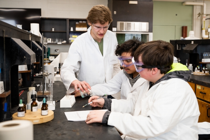 Two students receive guidance from an Undergraduate student lab assistant during their study of a single displacement reaction in Chemistry.